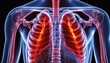  Illuminated human ribcage and lungs, 3D medical illustration