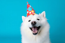 Cheerful White Dog Celebrating With A Red Polka Dot Party Hat In Front Of Blue Background. Pet Birthday Joy