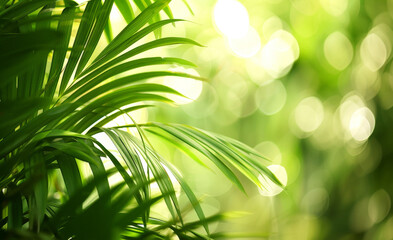 Wall Mural - Nature is bright, beautiful and amazing.