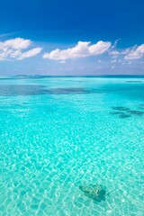 Wall Mural - crystal clear sea water bay. pristine ocean lagoon sunny cloudy sky, idyllic relaxing seascape. tran