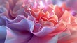 Vivid Unveiling: Close-up of a peony's opening, a vivid display of blended colors.