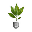 Green energy concept. Light bulb socket with sprout, green leaves isolated on white background. Ecology. Environment protection. Ecological
