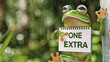 Whimsical Green Frog Illustration Celebrating Leap Day, Holding Flip-Calendar with Message 