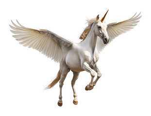 Wall Mural - Pegasus Isolated on Transparent Background
