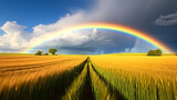 Fototapeta Krajobraz - rainbow after rain, rainbow background
