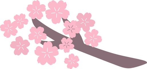 Poster - Beautiful pink Sakura Cherry Blossom with branch illustration for spring time.