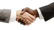 Black men and white men handshaking on white backgrounds. Deal with a project.