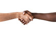 © DYNECREATIVE - Black men and white men handshaking on white backgrounds. Deal with a project.