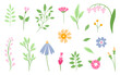 Meadow blossom flower set. Heartwarming colors. Hand drawn isolated flat elements.