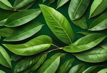 Sticker - green leaves background