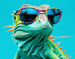 lizard on turquoise background wearing colourful sunglasses.