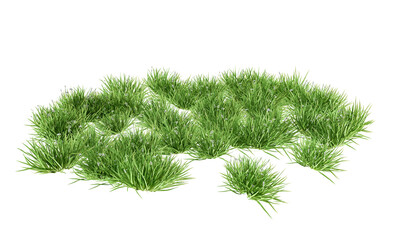 Wall Mural - Grass isolated on white background