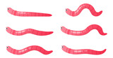 Fototapeta  - Earthworms crawl set, sequence game animation. Animated stages of walking funny pink worm character with cute comic face, action movement in soil of baby earthworm cartoon vector illustration