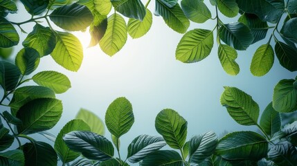 Wall Mural - Fresh green leaves on on light background