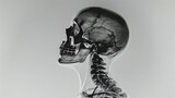 Fototapeta  - Film x-ray skull and cervical spine lateral view
