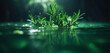 Green rosemary sprig under water with green light, with space for text 