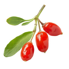 Goji berry, transparent background, isolated image, generative AI