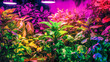 Plants basking under ultraviolet light, illustrating the concept of indoor gardening at home. Vibrant foliage thriving in artificial lighting conditions.