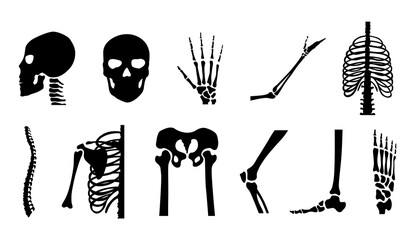 Wall Mural - Human bones orthopedic and skeleton icon set, bone x-ray image of human joints, anatomy skeleton flat design illustration