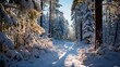 Cross-country ski trail winding through a forest, tracks in the snow, peaceful and scenic, showcasing the endurance and tranquility of Nordic skiing, Photoreali