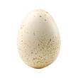 Ester white egg with natural dots isolated on a white background. High-resolution