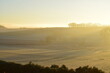 morning fog above the swampland in the Eifel