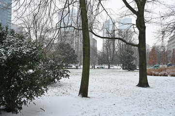 Poster - Taunusanlage in Frankfurt im Winter