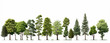 Assorted trees on plain white background in a row for landscaping