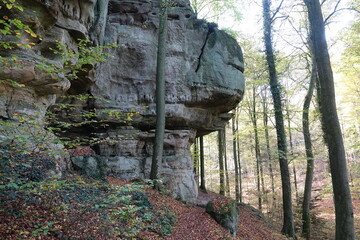 Poster - Felsen im Muellerthal