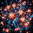 Neural connections of the brain