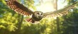 Owls fly to observe prey from above the forest