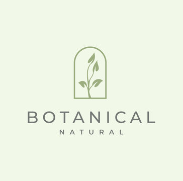 Floral and Botanical Feminine Logo Modern Vector Template For Florist
