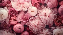 Gorgeous Floral Blossom Pattern Peonies Amazing Collage Photo Artistic Work. Bloom Flowers Elegant Style Background