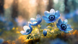 Fototapeta Fototapeta w kwiaty na ścianę - Anemony, niebieskie kwiaty. Tapeta kwiaty