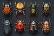 Colorful different beetles. The background.