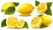 ripe lemon fruit with leaves, half and slice isolated, Fresh and Juicy Lemon, collection, cut out