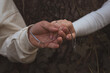 Ternura y amor entre dos manos con anillos que sostienen un collar con otro anillo, en un ambiente cálido y natural