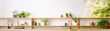 Image of a wooden shelf with potted plants, books and other knick-knacks against a white wall with blurred greenery in the background.