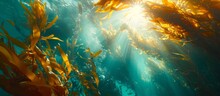 Sunlit Seaweed Underwater In The Ocean, Marine Plants Glowing In Sunlight
