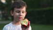 Funny little boy eating fresh appetizing red apple enjoy taste at summer park outdoor closeup. Adorable male kid child bite raw organic vitamin fruit chewing delicious edible plant healthy lifestyle