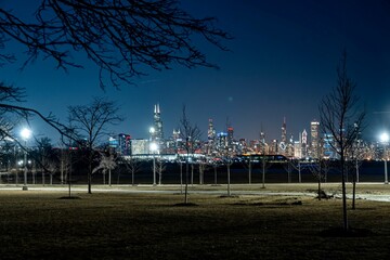 Park at the 31st Street Harbor with the Chicago Skyline in the Background 