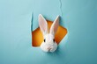 Adorable Easter Bunny Peeking from Single Colored Paper, rabbit, holiday, cute, furry