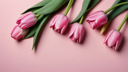 Wall Mural - Photo Of Spring Tulip Flowers On Pink Background Top View In Flat Lay Style, Greeting, Womens Or Mothers Day Or Spring Sale Banner.