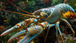 Jolly Lobster Scuttling: Streamlined Portrayal