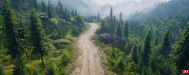 Wall Mural - Aerial view of a forest road in the mountains