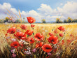 A field of poppies with a sky background