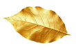 Luxury Gold Leaf Design Isolated On Transparent Background