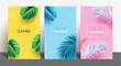 © ZeinousGDS - Summer tropical vector poster set. Summer tropical text with monstera and palm leaves elements for minimal seasonal template collection. Vector illustration summer flyers design.