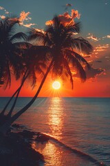 Poster - A beautiful tropical beach with palm trees and a gorgeous skyscape. Travel, Tourism, Vacation concept background. Mexico. An idyllic Caribbean scene featuring beautiful silhouettes of coconut palms.