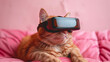 cat with apple vision pro virtual reality sunglass solid background